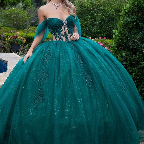 Quinceanera Dress - Picture 4 of 9